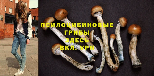 прущая мука Богородицк