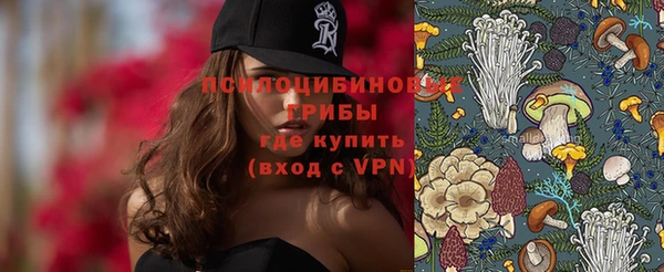 мет Богданович
