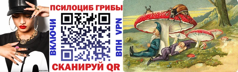 Галлюциногенные грибы Psilocybe Гудермес