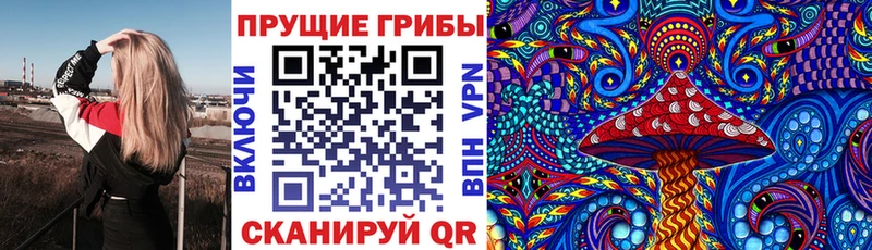 Купить где  Гудермес  Галлюциногенные грибы мицелий 
